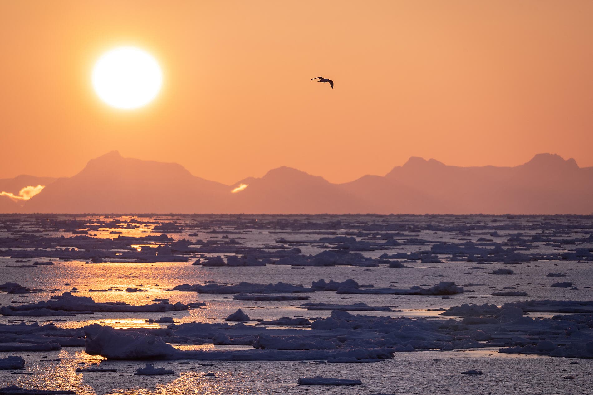 Printemps inuit d'Ammassalik 
