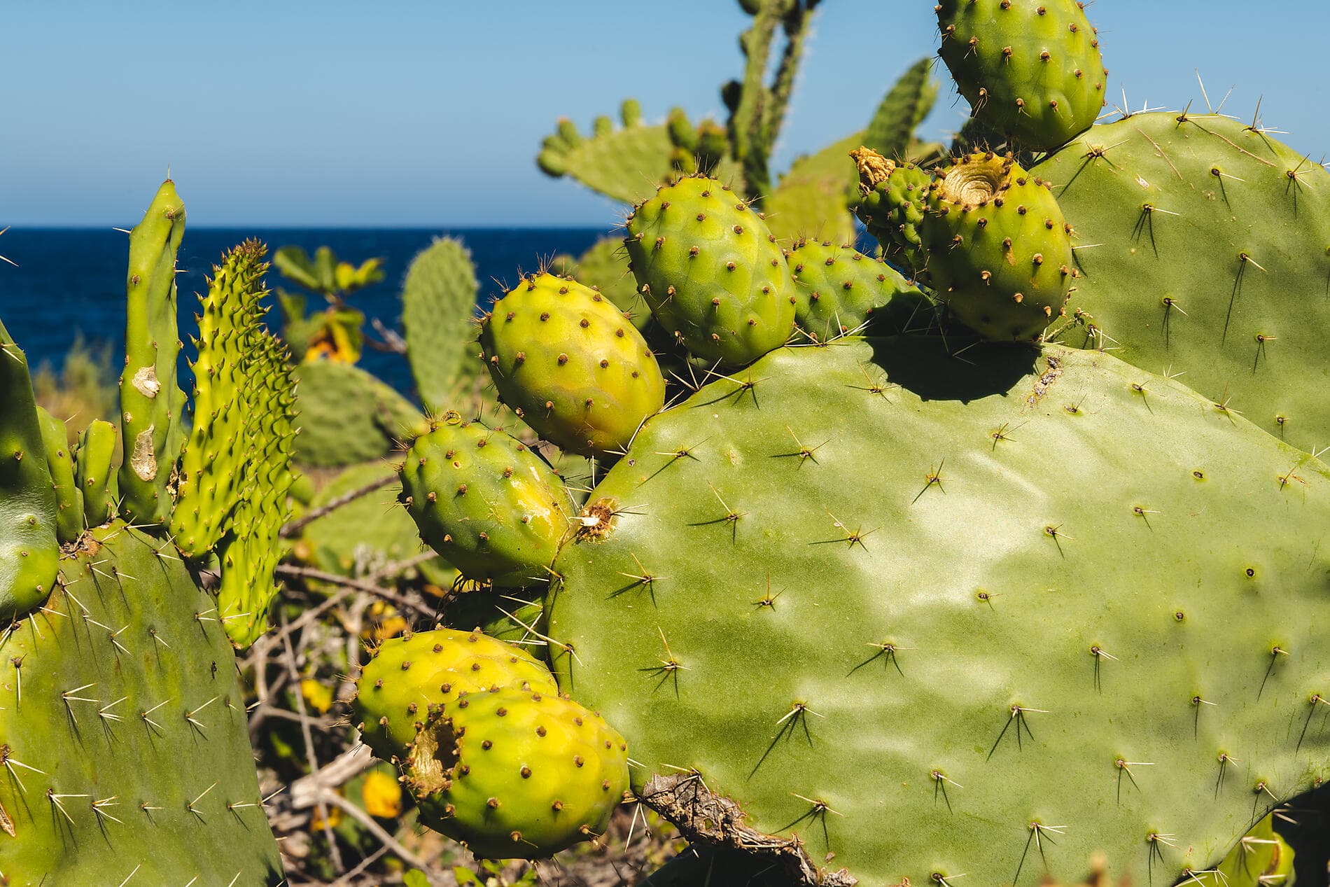 La grande boucle corse 