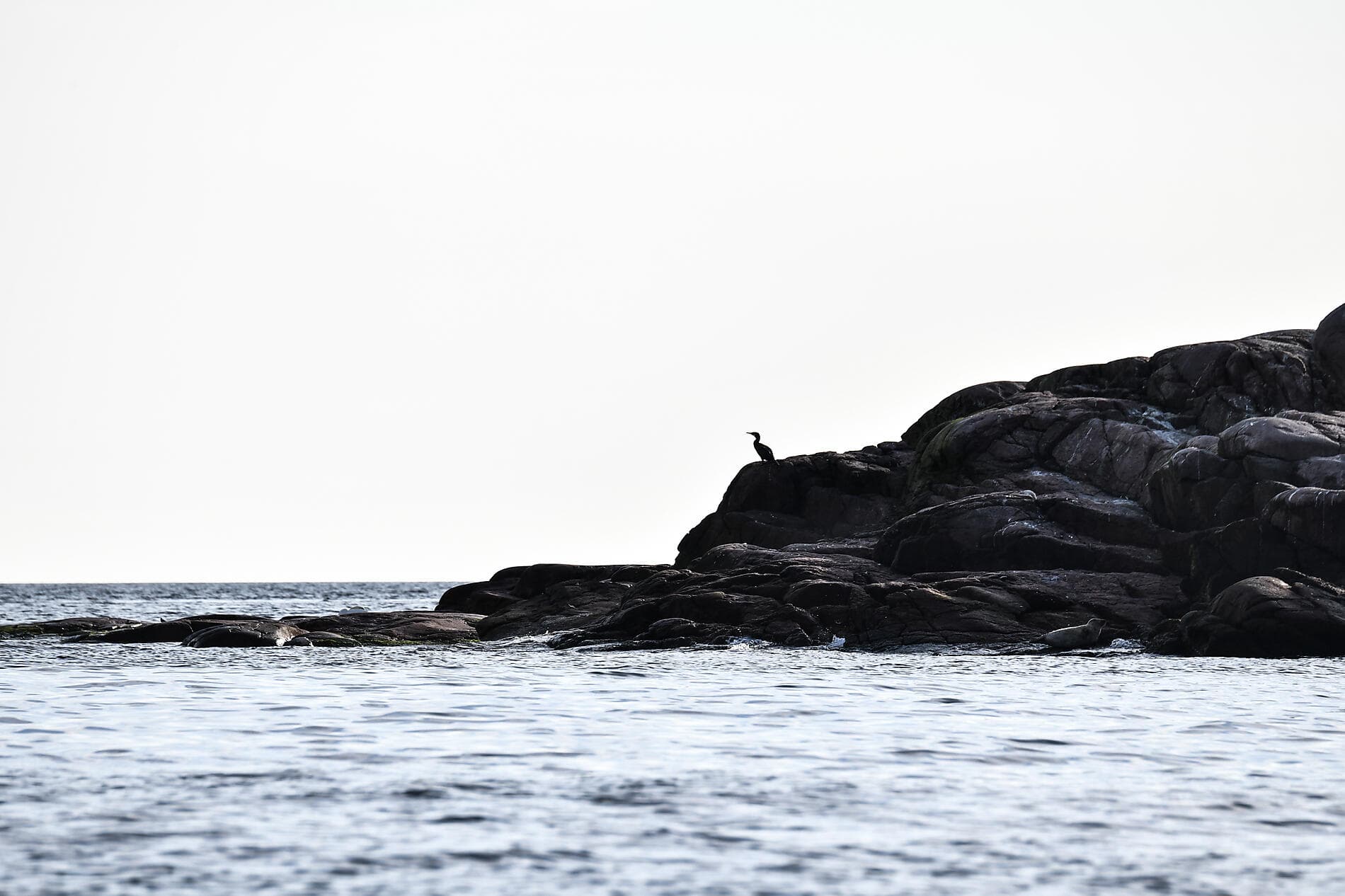De la mer du Nord à la Baltique  