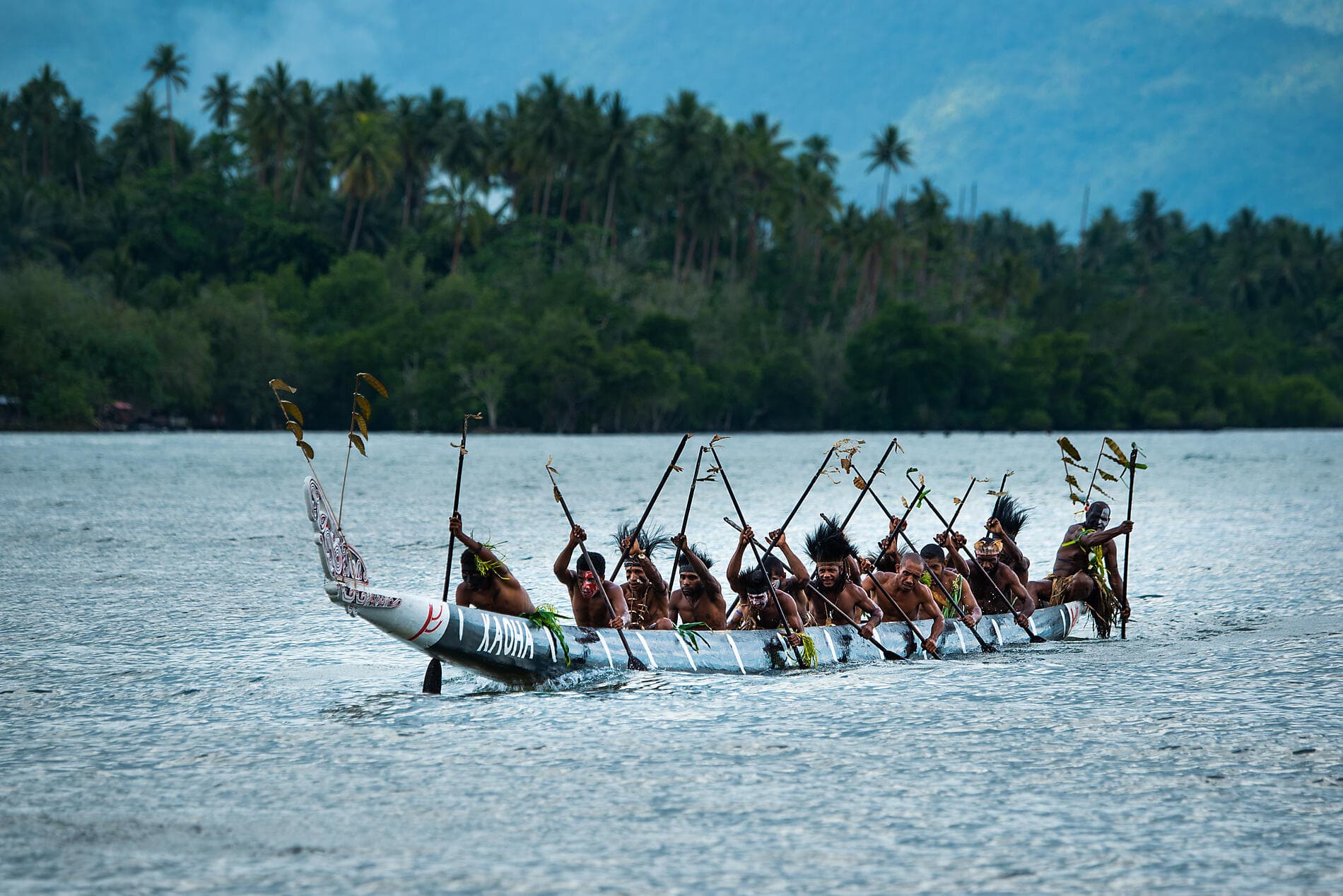 Odyssée en Nouvelle-Guinée 
