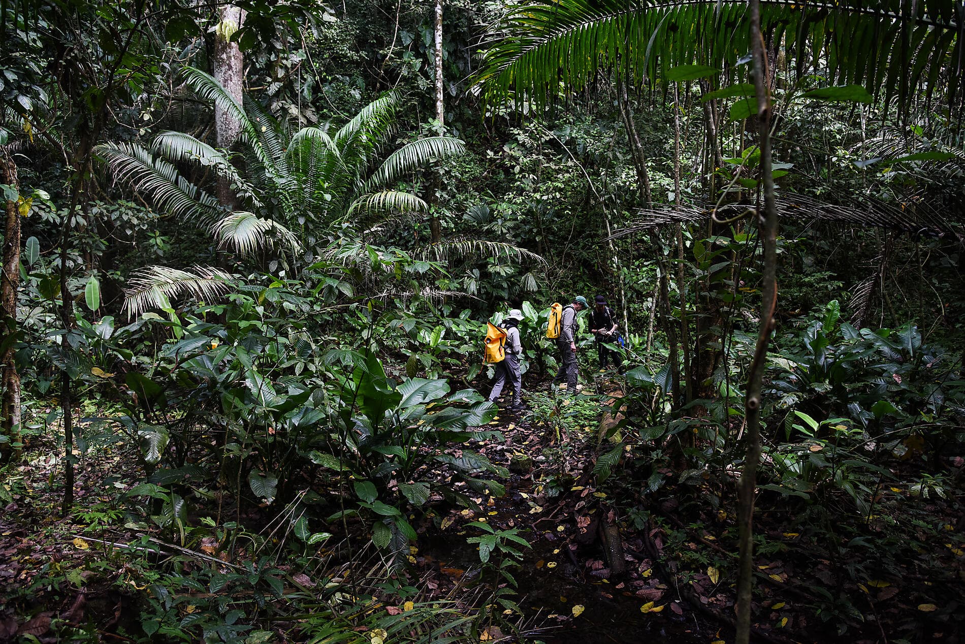 Secrets d'Amérique centrale 