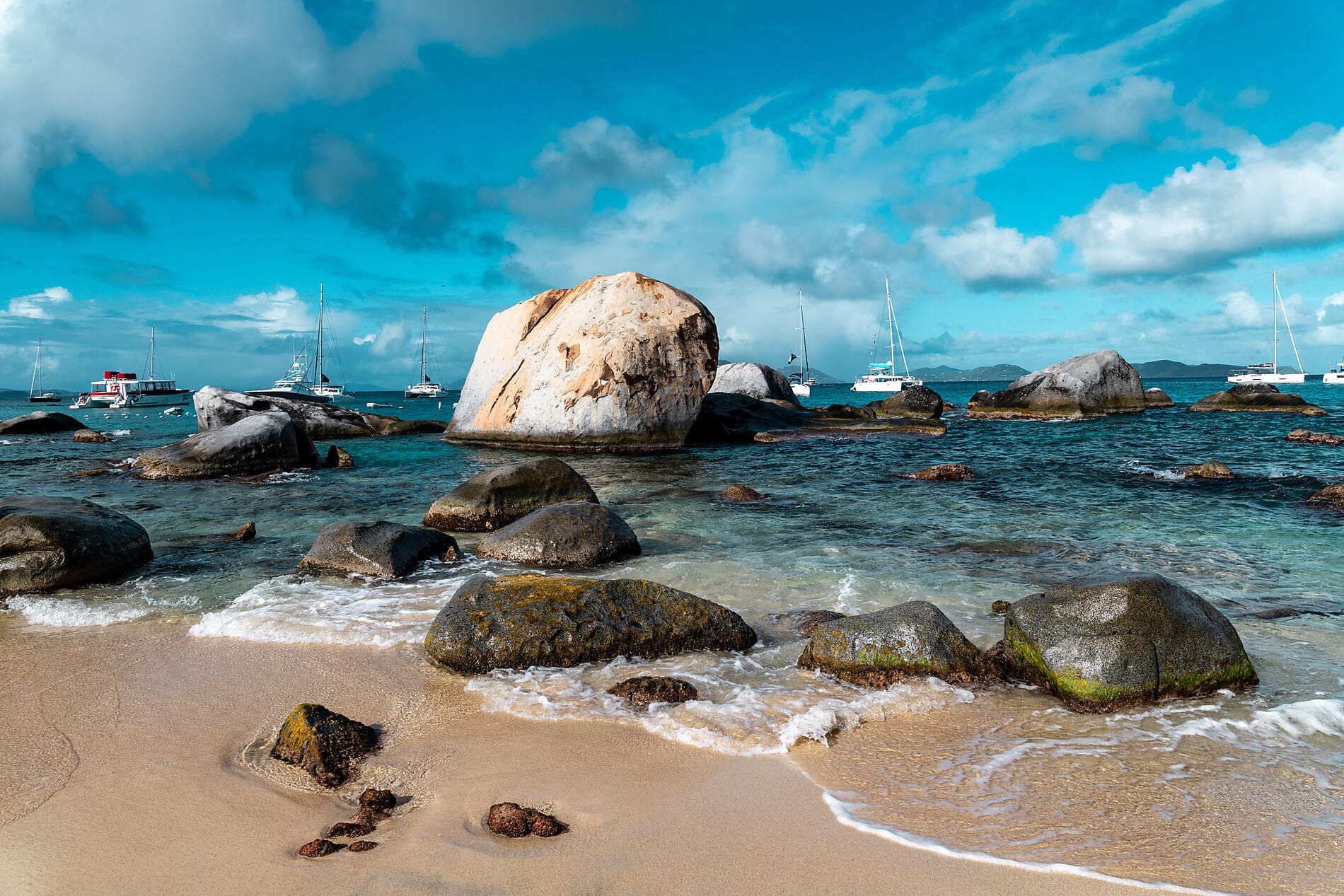 Merveilles des Caraïbes 