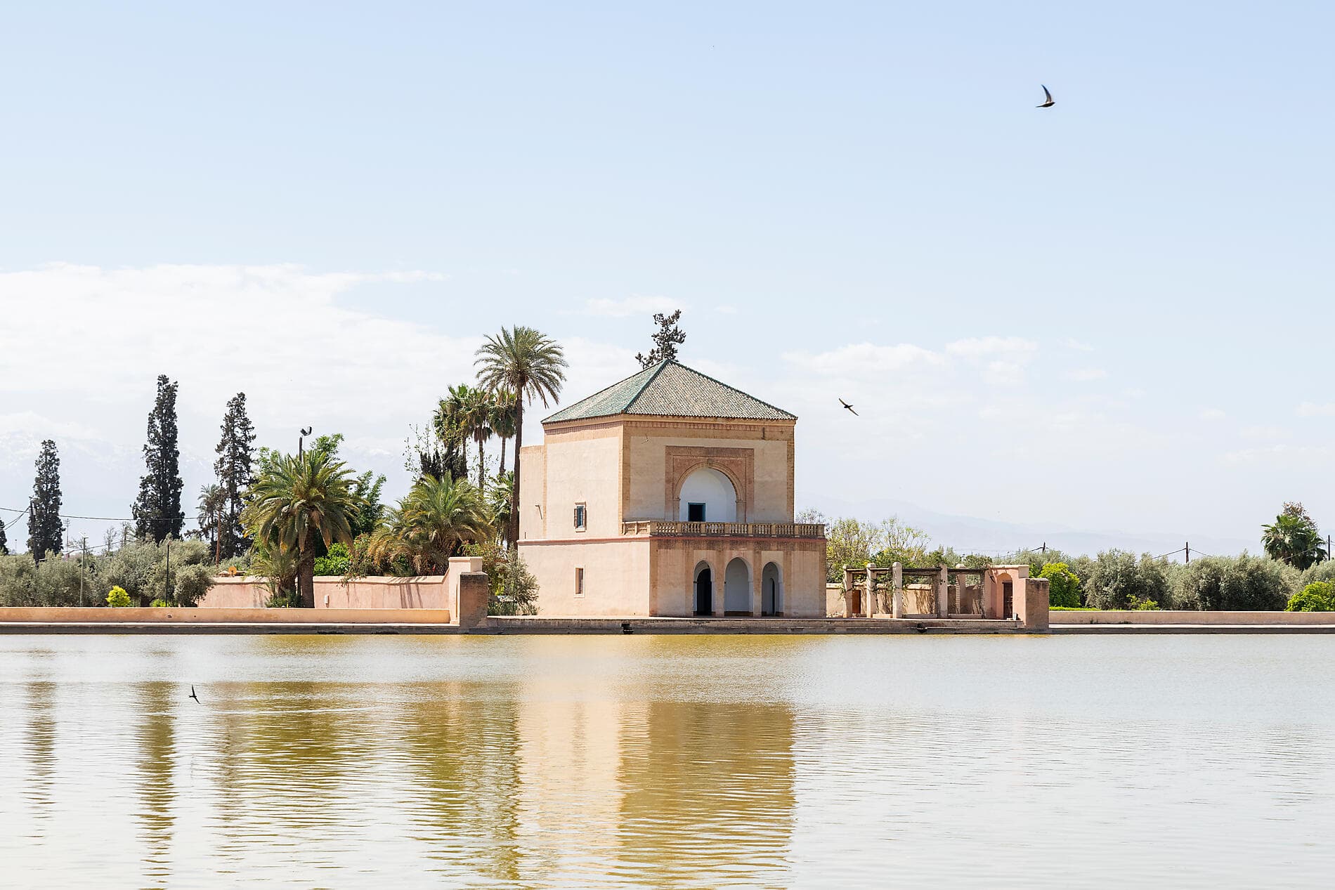 Odyssée atlantique des Canaries aux rivages marocains 