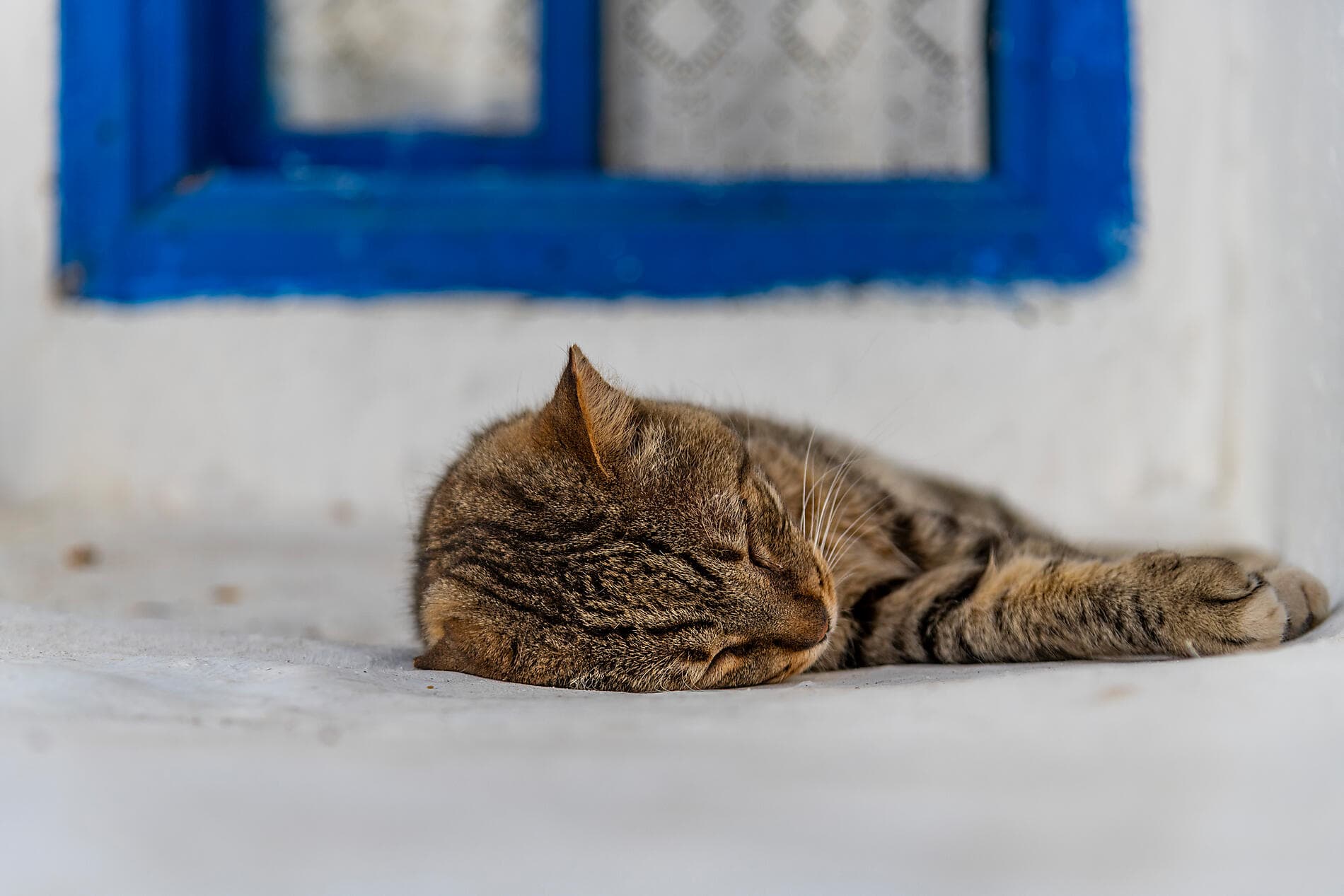 Le Ponant d’île en île, d’Athènes à Dubrovnik 