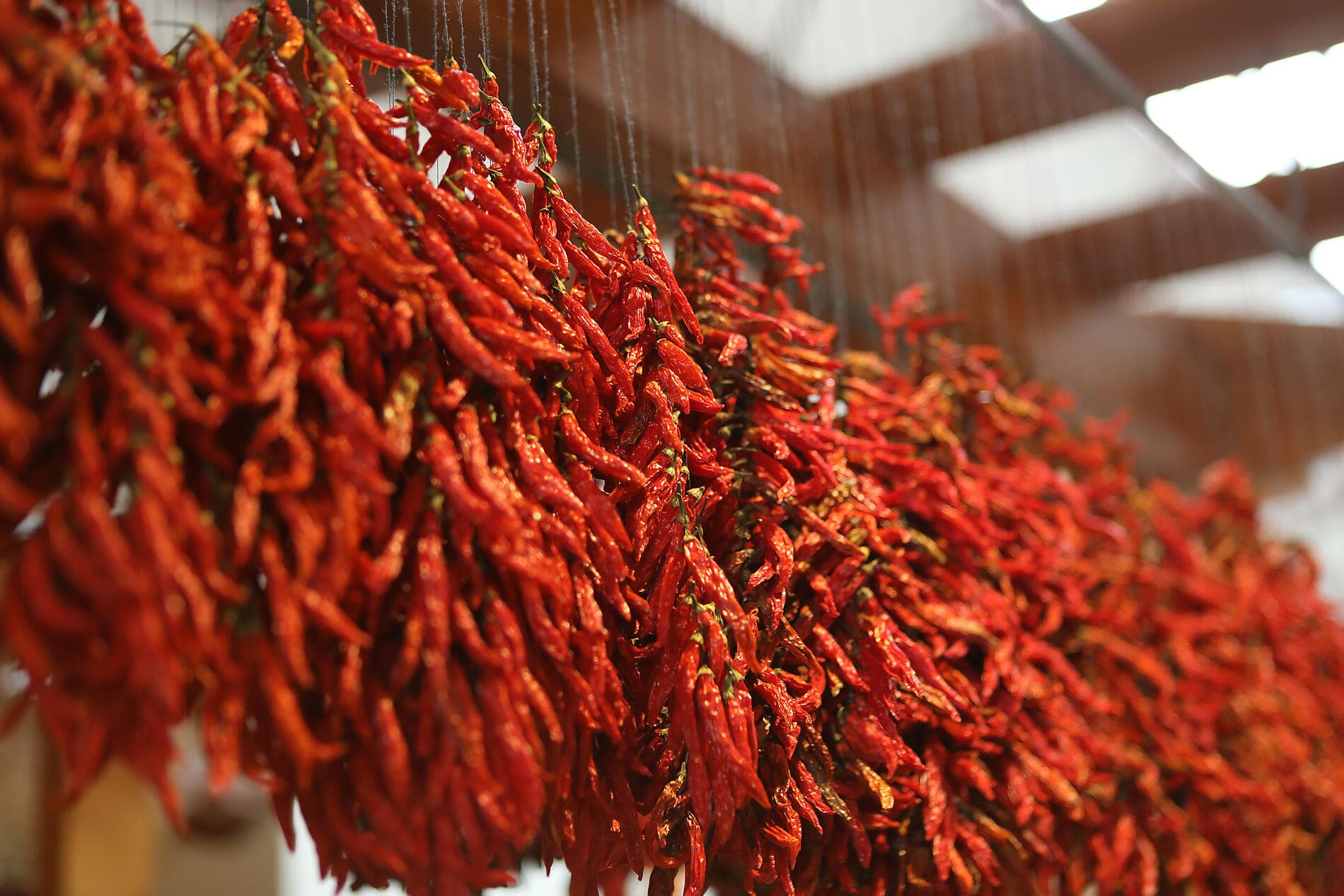 Des Canaries à Málaga, aux rythmes de la musique espagnole 