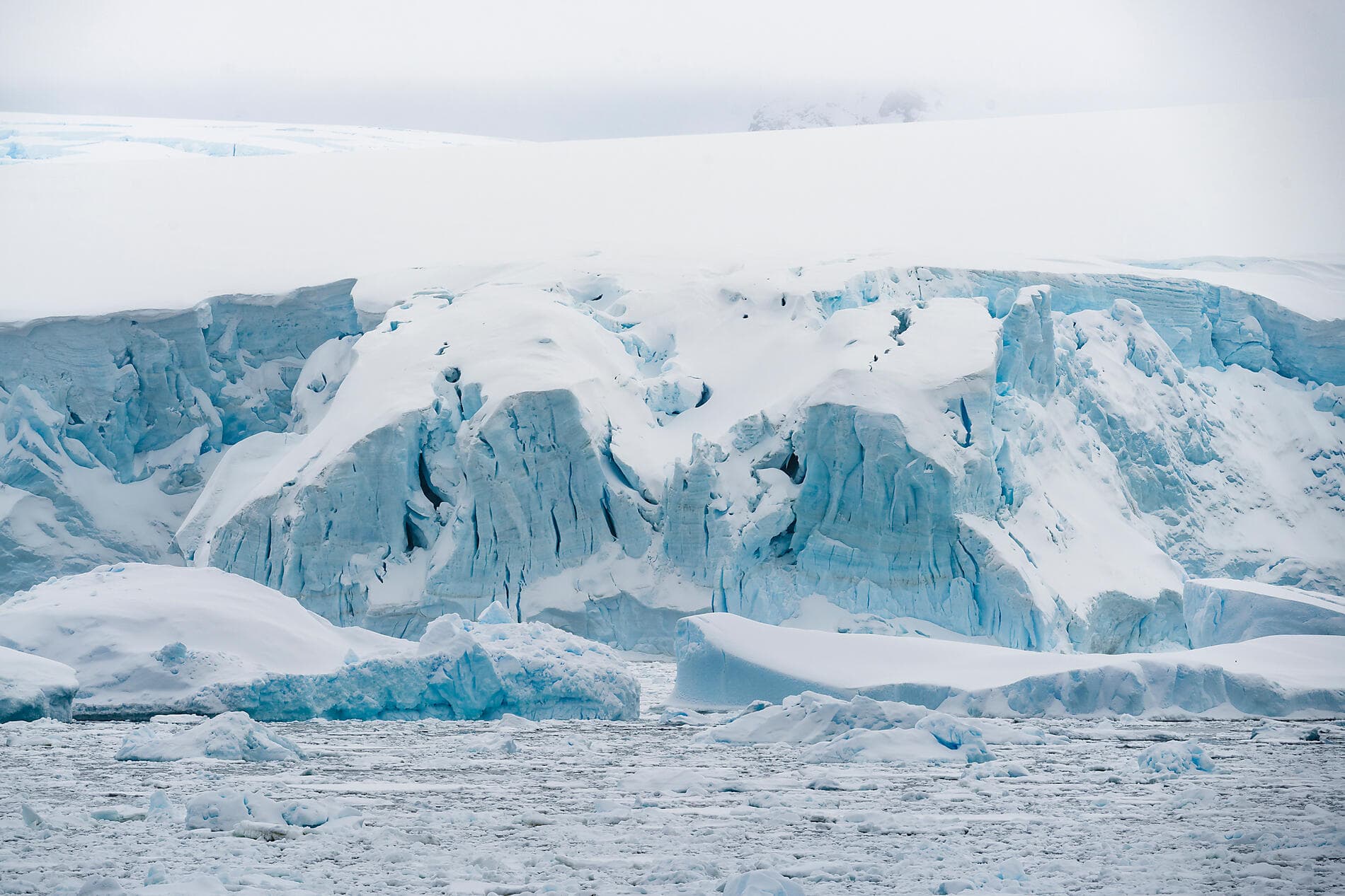 Dans le sillage de Jean-Baptiste Charcot 